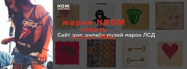хмурый Алексин