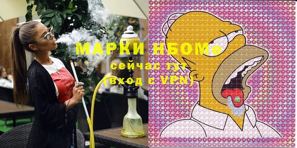 хмурый Алексин