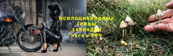 марки nbome Алзамай