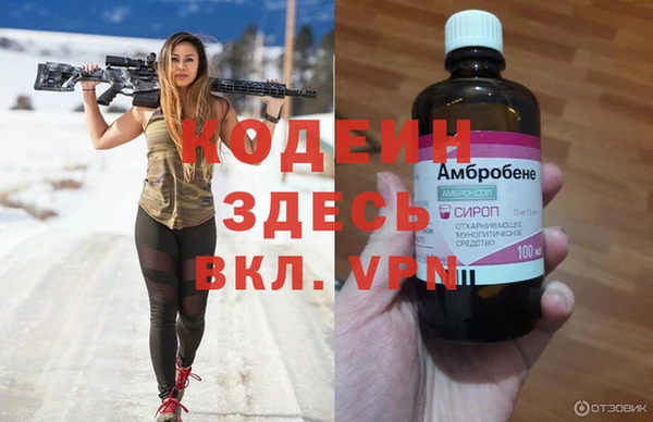 хмурый Алексин