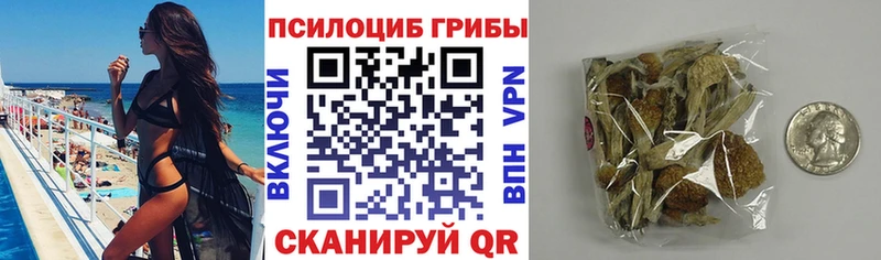 хочу   Арск  Галлюциногенные грибы ЛСД 